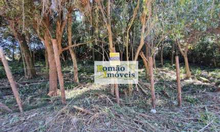 Terreno à venda, 2589 m² por R$ 170.000,00 - Cacéia - Mairiporã/SP