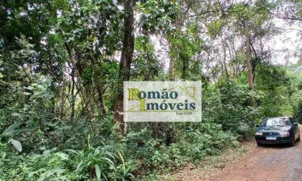 Terreno à venda, 1250 m² por r$ 60.000,00 - mato dentro - mairiporã/sp