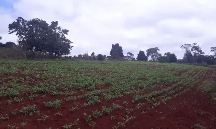 Fazenda à venda na Zona Rural, Bonito 