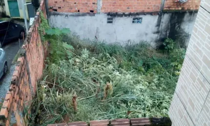 Terreno à venda na Rua Jardim Federação, Federação, Salvador