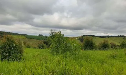 Terreno à venda, 20393 m² por r$ 390.000,00 - pitangal - jarinu/sp
