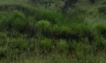 Terreno à venda no São Damião, Vespasiano  por R$ 500.000