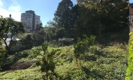 Amplo terreno situado no Borgo junto a rua São Paulo!