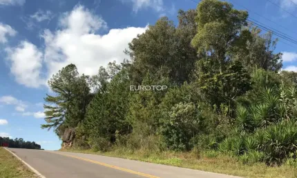 Terreno à venda na Linha Palmeiro, São Pedro, Bento Gonçalves