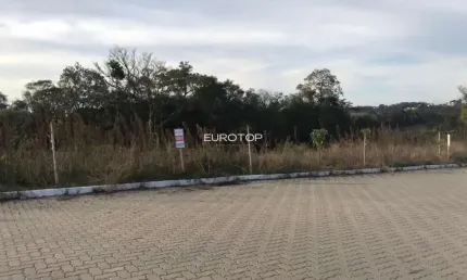 Terreno à venda na Rua José de Carli, 80 ou 81, Tuiuty (Distrito), Bento Gonçalves