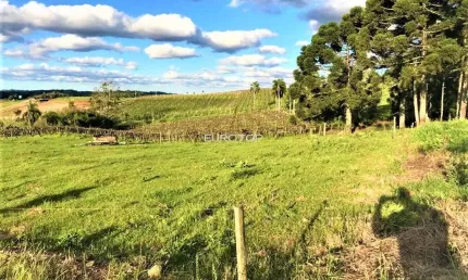 Terreno à venda na Rua José de Carli, 44, São Valentin, Bento Gonçalves