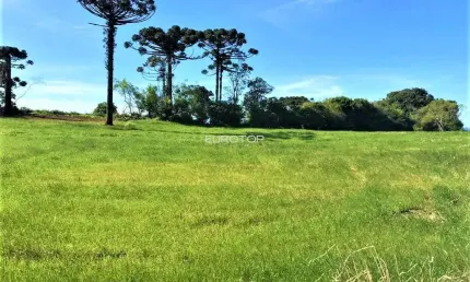 Excelente terreno em um dos pontos mais altos de Garibaldi!