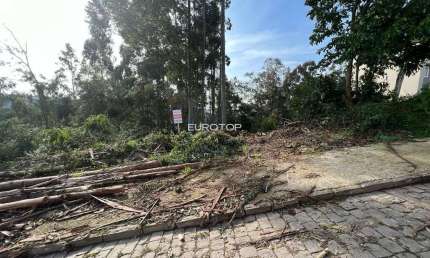 Terreno à venda na Rua Alfredo Francisco Giacomello, Santo Antão, Bento Gonçalves