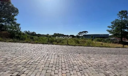 Terreno à venda na Rua Domingos De Marchi, Garibaldina, Garibaldi