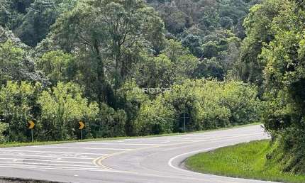 Terreno à venda na Rodovia BR-470, 3, São Vendelino, Bento Gonçalves
