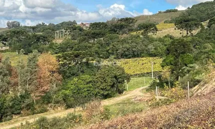 Excelente área de terras com denominação de origem!