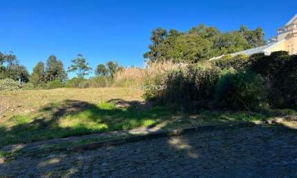 Terreno à venda na Rua Gaspar Cainelli, Lote 183, Santo Antão, Bento Gonçalves