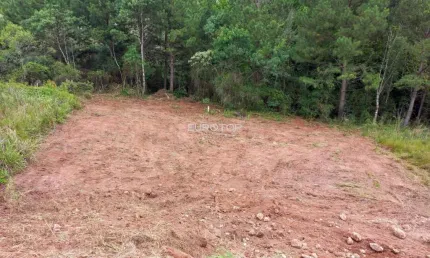 Terreno à venda na Rua Benigno Orlando Panno, Universitário, Bento Gonçalves