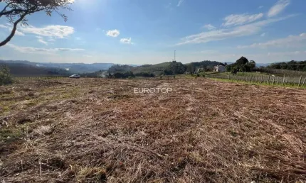 Belíssima área de terras no local mais alto do vale!