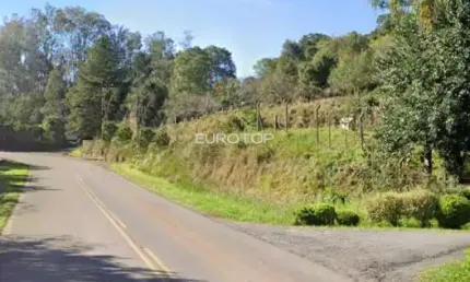 Chácara / sítio à venda na Linha Palmeiro, sem numero, São Pedro, Bento Gonçalves
