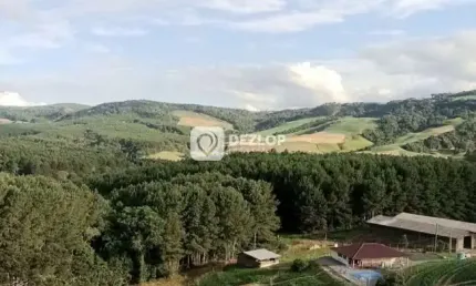 Sítio à venda em Alfredo Wagner - SC | Nascente e açude no terreno