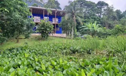 Casa com 3 dormitórios à venda, 110 m² por R$ 900.000,00 - Praia de Maresias - São Sebastião/SP