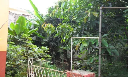 Casa à venda, 3 quartos, 3 suítes, 6 vagas, Santa Maria - São Caetano do Sul/SP