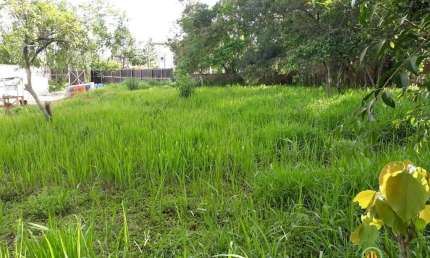 LOTE com 1.483,16m², praticamente plano, 100% aproveitável!