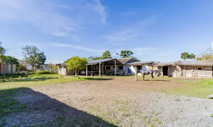 Terreno para Venda em São José dos Pinhais, Borda do Campo