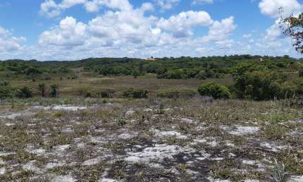 Terreno Comercial para venda - 20.000m2 - Linha Verde - em Porto de Sauipe - Entre Rios - BA