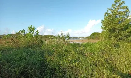 Lote/Terreno em Condomínio , 600M2 , Porto Sauípe - Entre Rios - BA