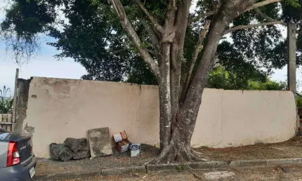 Lote/Terreno para venda possui 705 metros quadrados em Jardim Placaford - Salvador - BA