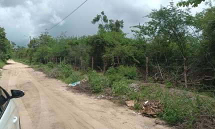 Terreno - Empreendimento no SIM - Feira de Sanmtana, Ba