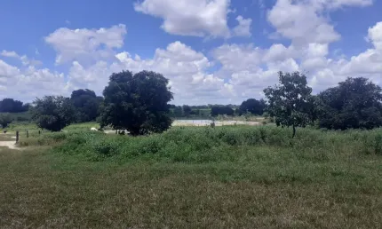 Big fazenda - plantação grande porte e energia  aeólicz