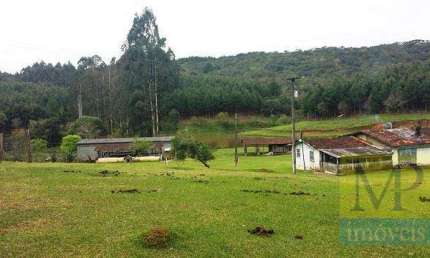 Sítio com 2 dormitórios à venda, 333960 m² por R$ 7.000.000,00 - Areia Branca - Mandirituba/PR