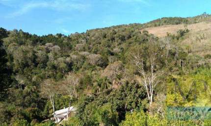Fazenda à venda, 193600 m² por R$ 1.100.000,00 - Zona Rural - Cruz Machado/PR