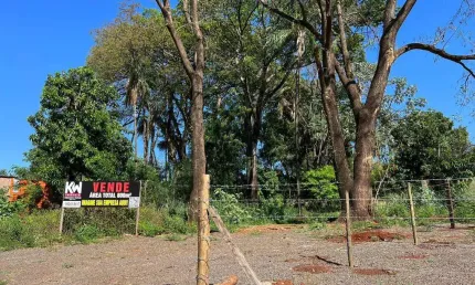 Terreno amplo na rotatória da Avenida Ernesto Geisel