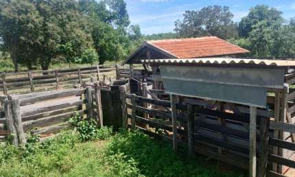 50 hectares a venda em ANASTÁCIO saída pra Campo Grande/MS