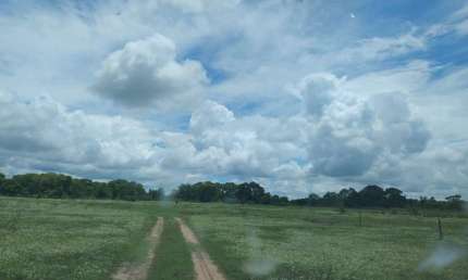 Fazenda à venda na Zona Rural, ZONA RURAL, Zona Rural, Aquidauana