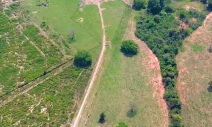 Fazenda à venda na Fazenda, Zona Rural, Ribas do Rio Pardo