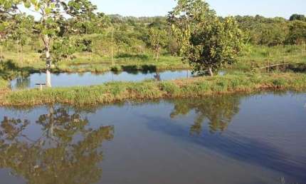 Fazenda à venda na 59, 59, Zona Rural, Terenos
