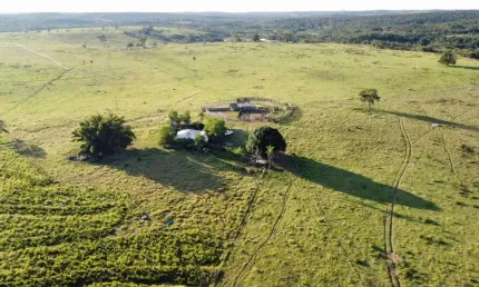FAZENDA DUPLA APTIDÃO COM ÁREA TOTAL DE 700 HECTARES EM CAMAPUÃ
