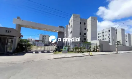 Venha conhecer o lugar perfeito para você e seu pet chamarem de lar!