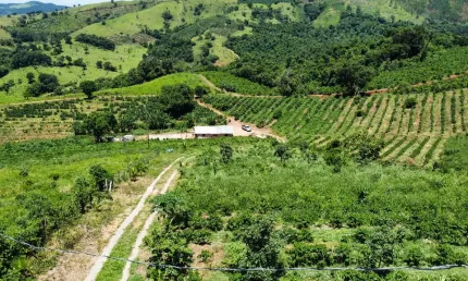 Lindo sítio 3.5 alqueires com cachoeira a venda em Jacutinga -MG