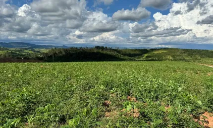 Lindo sítio com 10.5 alqueires a venda em jacutinga-mg
