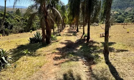 Linda chácara de 7 mil metros a venda em jacutinga-mg