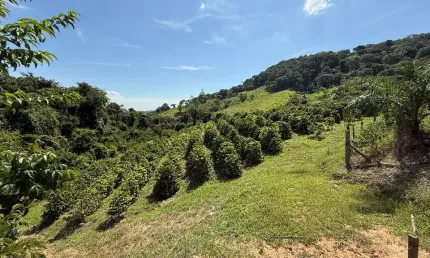 Chácara / sítio com 1 quarto à venda na Praça dos Andradas, Sapucaí, Jacutinga