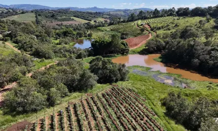 Chácara / sítio com 2 quartos à venda na Praça dos Andradas, Zona Rural, Jacutinga