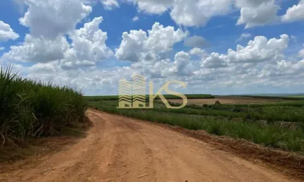 Fazenda à venda na Rua Dona Margarida, Centro, Santa Bárbara D'Oeste