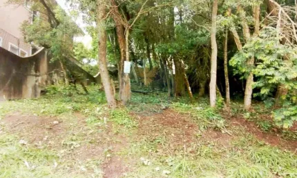 Terreno em condomínio fechado à venda na rua das dracenas, s/n, granja viana, carapicuíba por r$ 750.000