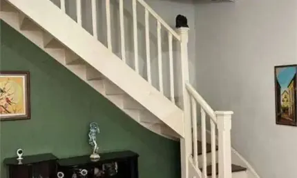 Casa com 2 quartos à venda na Rua Coronel Albino Bairão, Belém, São Paulo