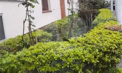 Apartamento com 3 quartos à venda em vila mariana - sp