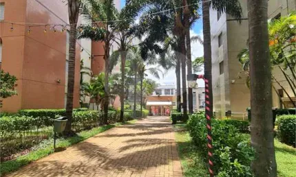 Apartamento com 3 quartos à venda na Rua Alexandre Levi, Cambuci, São Paulo