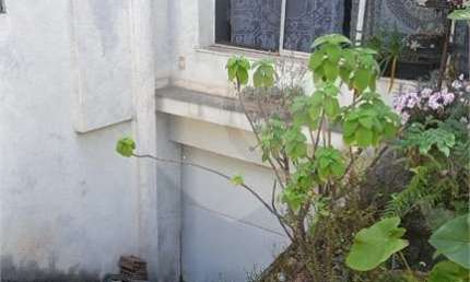 Casa térrea com 3 quartos à venda em Aclimação - SP