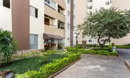 Apartamento com 3 quartos à venda em Vila Nova Cachoeirinha - SP